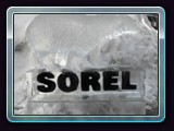 100 Sorel logo with Bear